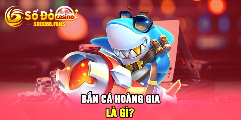 Bắn cá hoàng gia là gì?