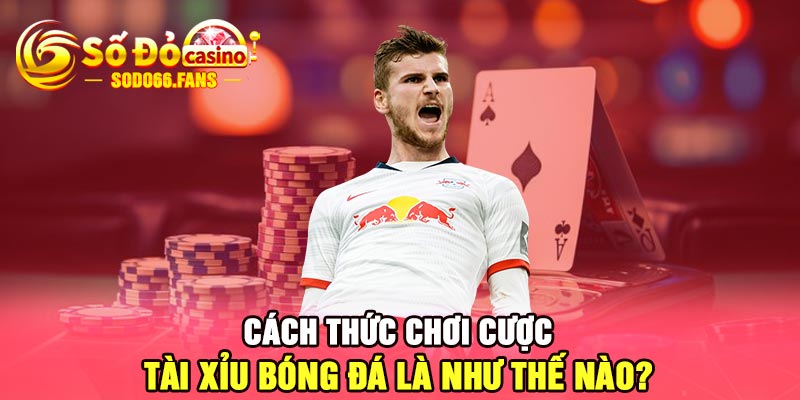 Cách thức chơi cược tài xỉu bóng đá là như thế nào?