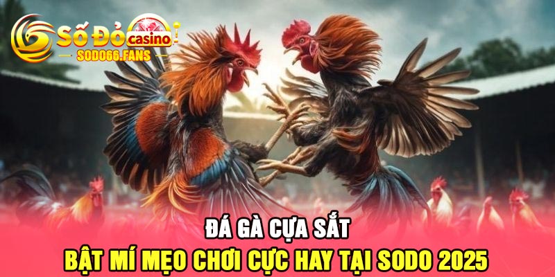 Đá gà cựa sắt - Bật mí mẹo chơi cực hay tại Sodo 2025