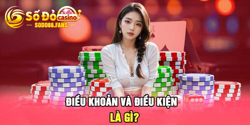 Điều khoản và điều kiện là gì?