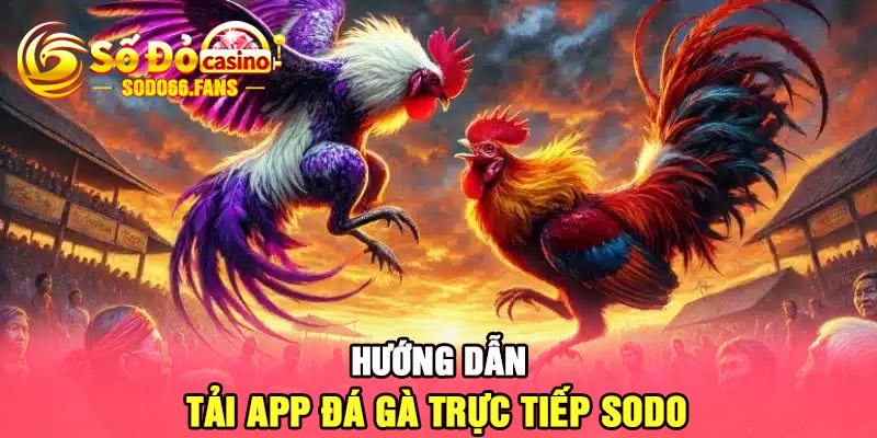 Hướng dẫn tải app đá gà trực tiếp Sodo