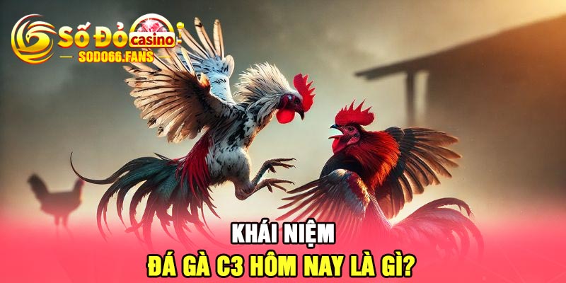 Khái niệm đá gà C3 hôm nay là gì?