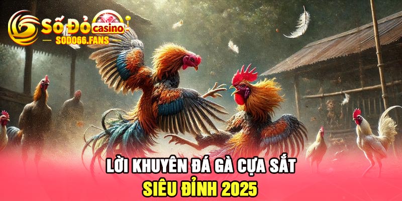 Lời khuyên đá gà cựa sắt siêu đỉnh 2025