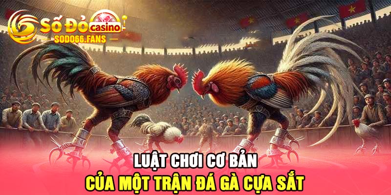 Luật chơi cơ bản của một trận đá gà cựa sắt