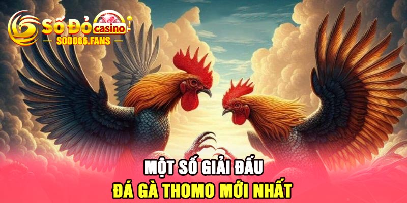 Một số giải đấu đá gà Thomo mới nhất