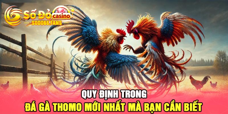 Quy định trong đá gà Thomo mới nhất mà bạn cần biết