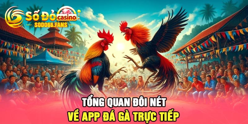 Tổng quan đôi nét về app đá gà trực tiếp