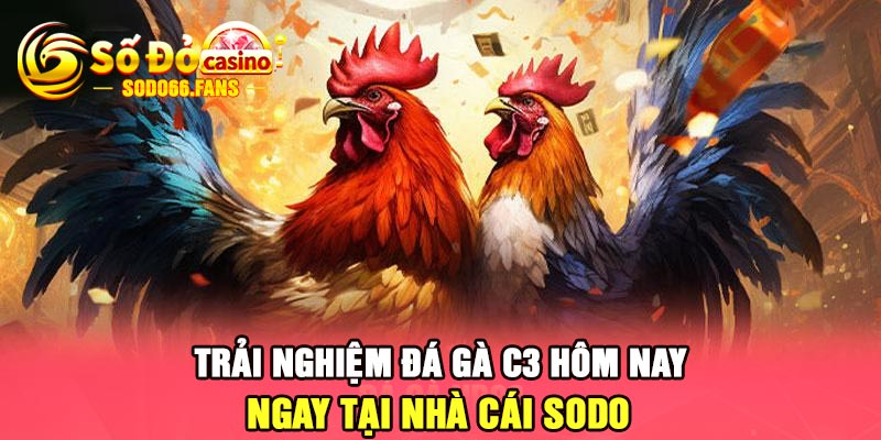 Trải nghiệm đá gà C3 hôm nay ngay tại nhà cái Sodo