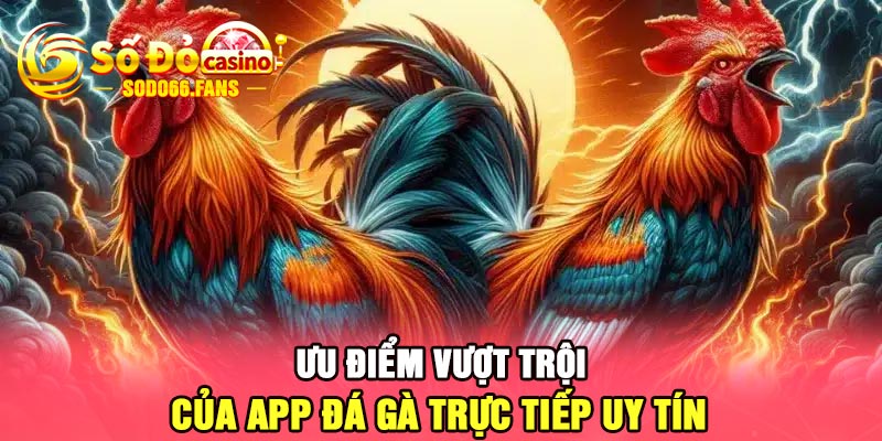 Ưu điểm vượt trội của app đá gà trực tiếp uy tín